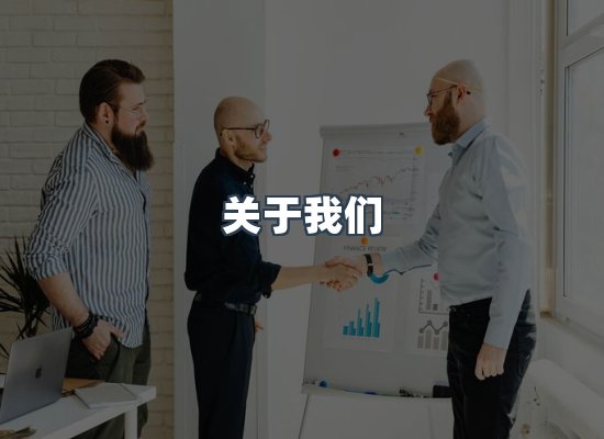 专业团队